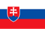 Slovak Republic U20 logo