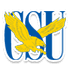 Coppin State logo