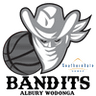 Albury Wodonga logo