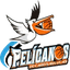 Pelicanos de CSL - Team Pelicanos De Csl Scores