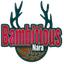 Bambitious Nara - Team Bambitious Nara Basketball Live Score