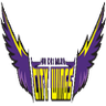 Hochiminh City Wings logo