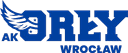 AK Orly Wroclaw U19 - Ak Orly Wroclaw U Vs Ks Sudety Jelenia Gora U Live Result