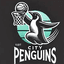 Penguins Women - Team Penguins Women Live Basketball