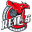 Reims Basket Women - Team Reims Basket Women Basketball Score