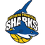 Southern Peninsula Sharks Women - Team Southern Peninsula Sharks Women Sport
