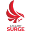 Calgary Surge - Team Calgary Surge Live