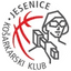 Jesenice - Team Jesenice Sport
