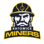 Miners Katowice - Live Team Miners Katowice