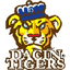 Dacin Tigers - Live Team Dacin Tigers