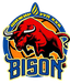 Nalaikh Bison - Team Nalaikh Bison Live Score Today
