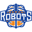 Ibaraki Robots - Team Ibaraki Robots Result
