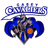 Casey Cavaliers - Nbl South Scores