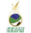 Puerto Montt SAESA logo