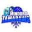 Mindoro Tamaraws - Team Mindoro Tamaraws Live Score Today