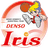 Denso Iris Women - Japan Womens Basketball League Basketball