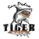 San Pedro Tiger Shark - Punta Gorda Panther Vs San Pedro Tiger Shark Basketball