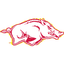 Arkansas University - Team Arkansas University Basketball Live