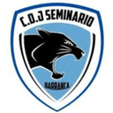 Seminario SJ Gold LDD U24 - Santa Ana U Vs Seminario Sj Gold Ldd U Live Score