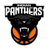 Indian Panthers - Team Wellington Saints Basketball Result