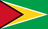 Guyana logo