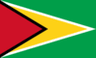 Guyana logo