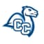 Connecticut College Camels - Team Connecticut College Camels Live Score