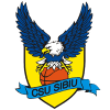 CSU Sibiu U20 - Live Romania U National Champs Csu Sibiu U Vs Rapid Bucuresti U