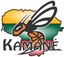 Vilniaus Kamane Women - Team Vilniaus Kamane Women Basketball