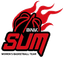 BNK Sum Women - Team Bnk Sum Women Basketball Result