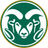 Colorado St Women - Team Arizona Women Basketball