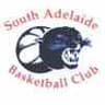 South Adelaide Panthers Women logo