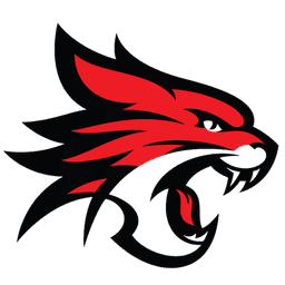 Perth Wildcats
