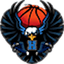 Halcones De San Miguel - Team Halcones De San Miguel Live Basketball