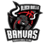 Banvas Blackbulls Basketball Club logo
