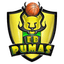 EB PUMAS - Team Eb Pumas Live Score Today