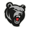 Norths Bears Women - Team Norths Bears Women Live Score