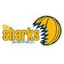 Sheffield Sharks - Team Sheffield Sharks Live Score Today