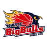 Iwate Big Bulls - WNBA Prediction