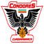 Condores de Cundinamarca - Team Condores De Cundinamarca Live Score