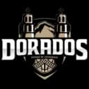Dorados - Lnbp Abejas De Leon Vs Dorados Live Result