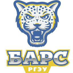 Bars Rostov logo