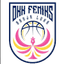 OKK Feniks Women - Team Okk Feniks Women Live Score
