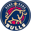 Hong Kong Bulls - Team Hong Kong Bulls Live Basketball