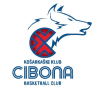Cibona Zagreb - Ilirija Vs Cibona Zagreb Live Result