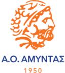 Neoi AO Amyntas - Aesaf Kouros Vs Neoi Ao Amyntas Basketball Score