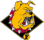 Ferris State University - Team Ferris State University Basketball Live Score