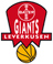 Bayer Giants Leverkusen - Eisbaren Bremerhaven Scores