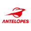 Antelopes Nagoya Women - Team Antelopes Nagoya Women Live Basketball