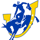 Southern Arkansas - Houston Christian University Vs Southern Arkansas Live Score